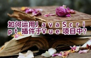 如何运用JavaScript插件于Vue项目中？