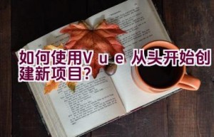 如何使用Vue从头开始创建新项目？