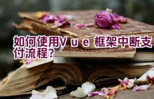 如何使用Vue框架中断支付流程？