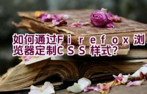 “如何通过Firefox浏览器定制CSS样式？”