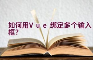 如何用Vue绑定多个输入框？