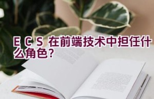 ECS在前端技术中担任什么角色？