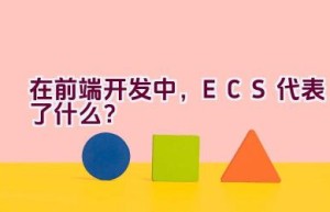 在前端开发中，ECS代表了什么？