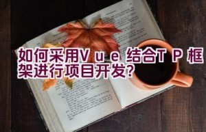 如何采用Vue结合TP框架进行项目开发？