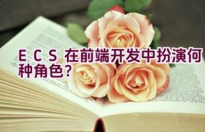 “ECS在前端开发中扮演何种角色？”