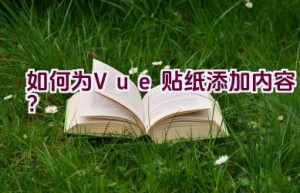 如何为Vue贴纸添加内容？