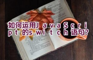 如何运用JavaScript的switch语句？