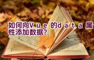 如何向Vue的data属性添加数据？