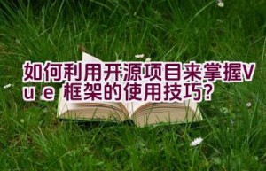 如何利用开源项目来掌握Vue框架的使用技巧？