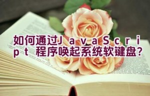 如何通过JavaScript程序唤起系统软键盘？