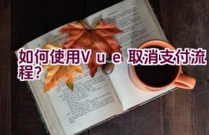 如何使用Vue取消支付流程？