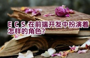 ECS在前端开发中扮演着怎样的角色？