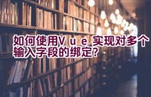 如何使用Vue实现对多个输入字段的绑定？