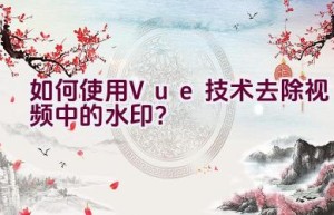 如何使用Vue技术去除视频中的水印？