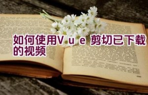 如何使用Vue剪切已下载的视频