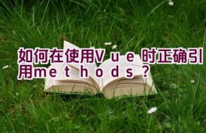 如何在使用Vue时正确引用methods？