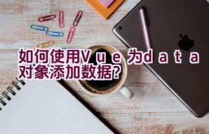 如何使用Vue为data对象添加数据？