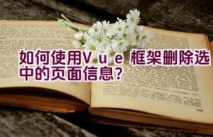 如何使用Vue框架删除选中的页面信息？