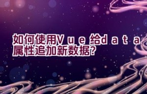 如何使用Vue给data属性追加新数据？