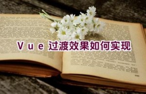 Vue过渡效果如何实现