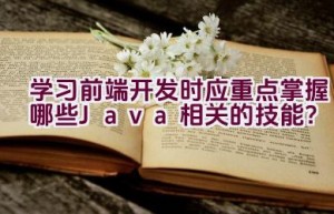 学习前端开发时应重点掌握哪些Java相关的技能？