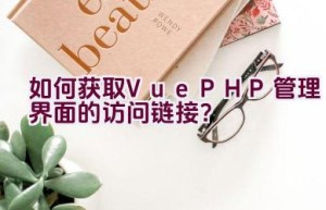 如何获取Vue PHP管理界面的访问链接？