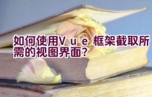 如何使用Vue框架截取所需的视图界面？