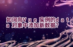 如何向Vue实例的data对象中添加新数据？