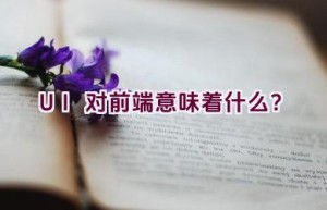 UI对前端意味着什么？