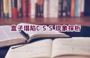 盒子塌陷 CSS 现象探析