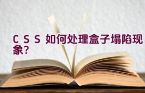 CSS如何处理盒子塌陷现象？