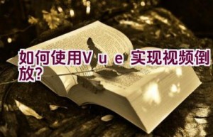 如何使用Vue实现视频倒放？