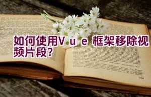 如何使用Vue框架移除视频片段？