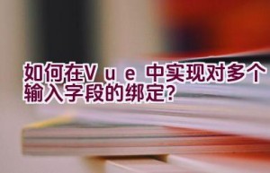 如何在Vue中实现对多个输入字段的绑定？