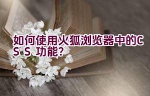 如何使用火狐浏览器中的CSS功能？