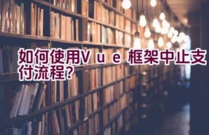 如何使用Vue框架中止支付流程？