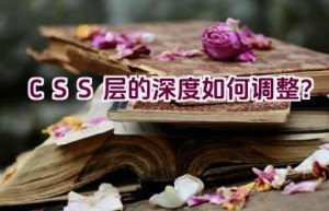 CSS 层的深度如何调整？