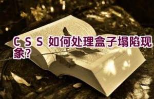 “CSS 如何处理盒子塌陷现象？”