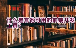 什么是其他可用的前端开发工具？