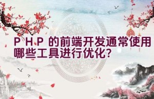 PHP的前端开发通常使用哪些工具进行优化？