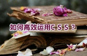 如何高效运用CSS？