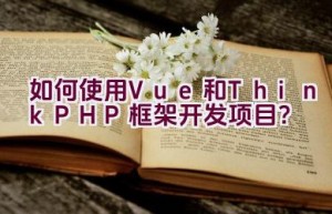 如何使用Vue和ThinkPHP框架开发项目？