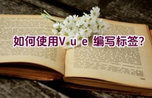 如何使用Vue编写标签？