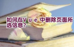 如何在Vue中删除页面所选信息？