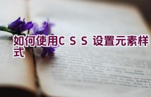 如何使用CSS设置元素样式