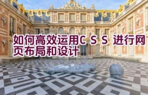 如何高效运用CSS进行网页布局和设计