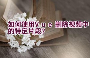 如何使用Vue删除视频中的特定片段？