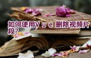 如何使用Vue删除视频片段？