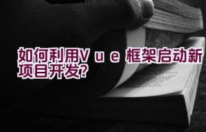 如何利用Vue框架启动新项目开发？