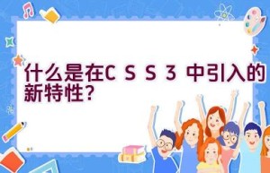 什么是在CSS3中引入的新特性？